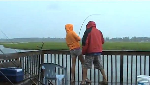 VIDEO: The one that got away – shark bait